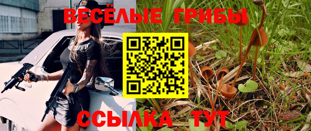 Красноармейск  Галлюциногенные грибы ЛСД  Псилоцибиновые грибы мухоморы  Вход с VPN 