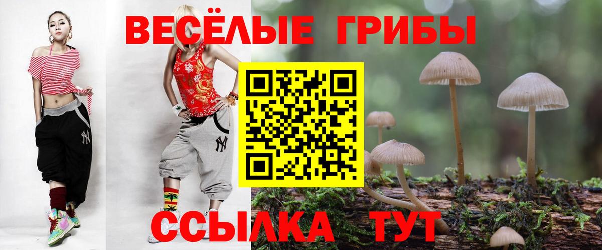 Псилоцибиновые грибы мухоморы Красноармейск